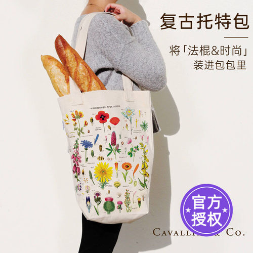 CAVALLINI复古风帆布包露营户外