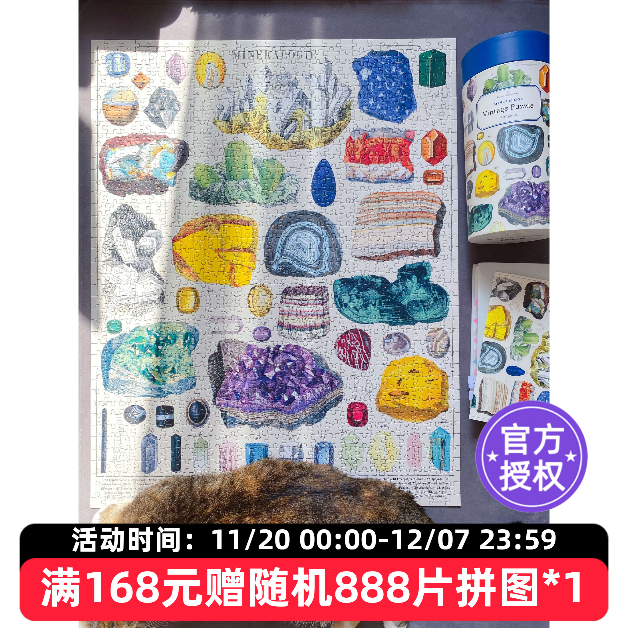 Cavallini拼图1000片矿物学