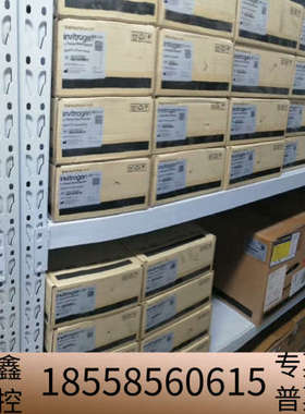 赛默飞Qubit 4 荧光计，QubitFlex 荧光计，.议价