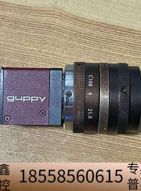 guppy工业相机 GF503B ASG ，.议价