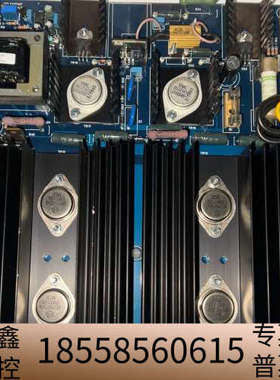 Tyco Spector / Lumenex Ltd Amp