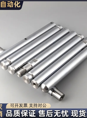 导向轴SFAZ SSFAZ PSFAZ PSSFAZ6 8 10 12 13 15 16 20 25 30 35