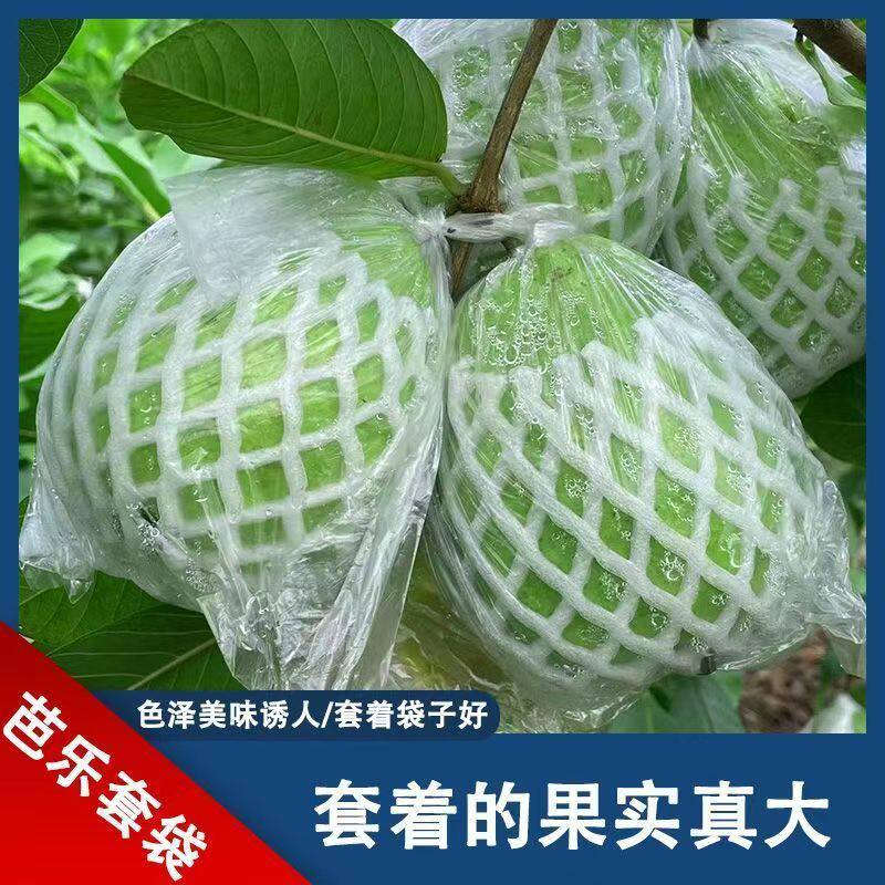 番石榴套袋防虫芭乐专用网袋网套水果防虫网套袋一体专用网袋包邮