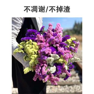 饰摆件客厅摆设鲜云南天然风轻奢满天星勿忘我 干花花束真花装