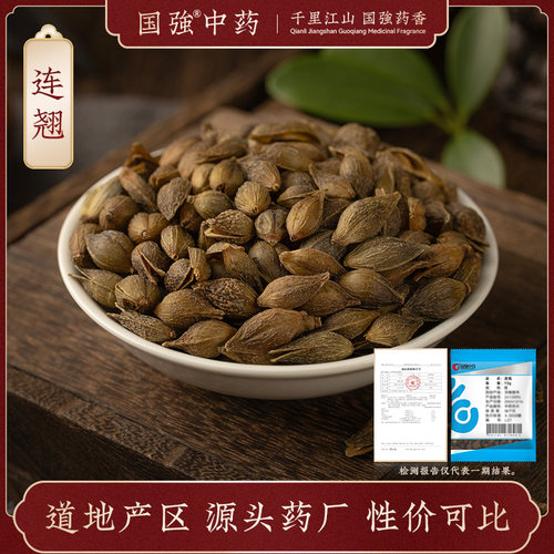 国强官方店连翘独立小袋药厂直销