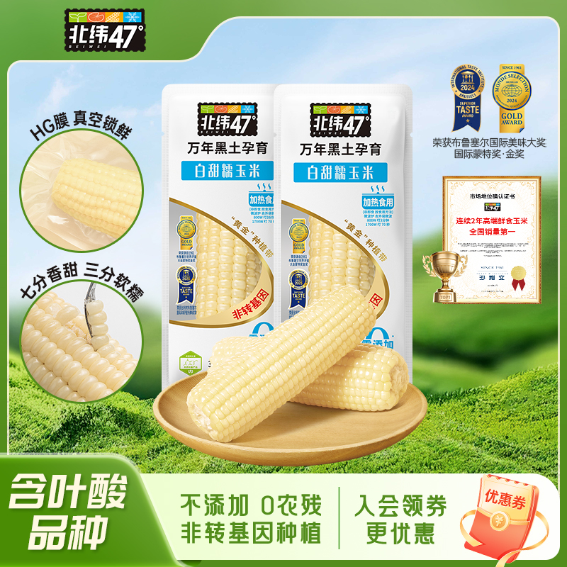 北纬47黑龙江白糯玉米