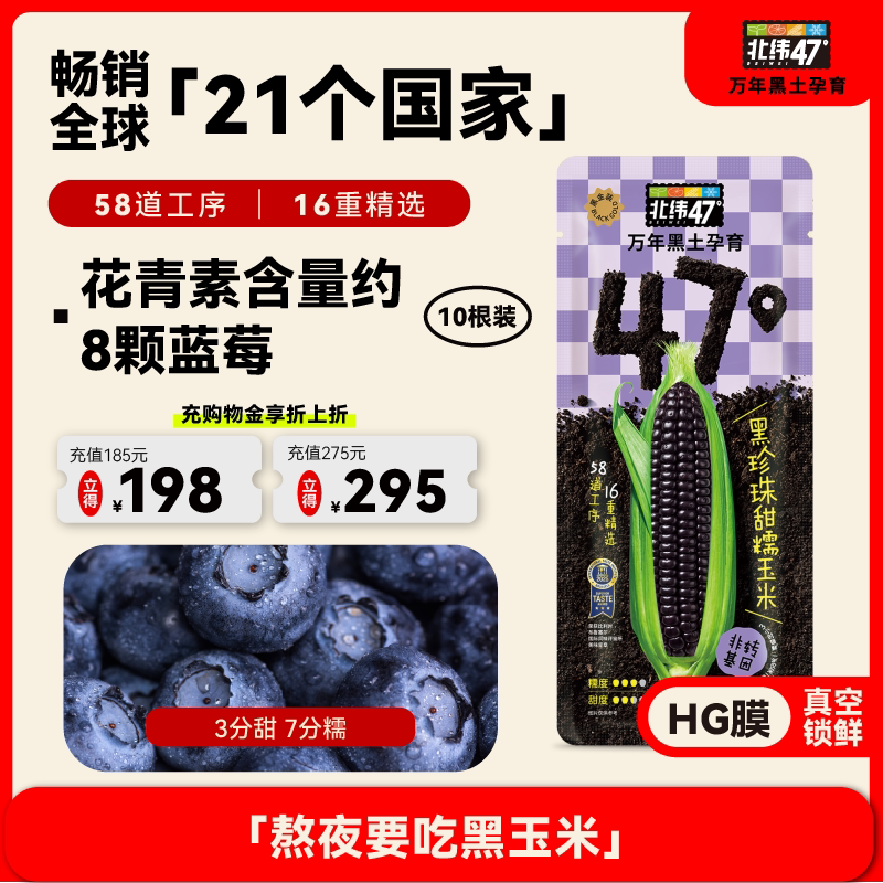 北纬47度黑糯玉米东北黑龙江花糯玉米真空包装玉米早餐新鲜玉米棒