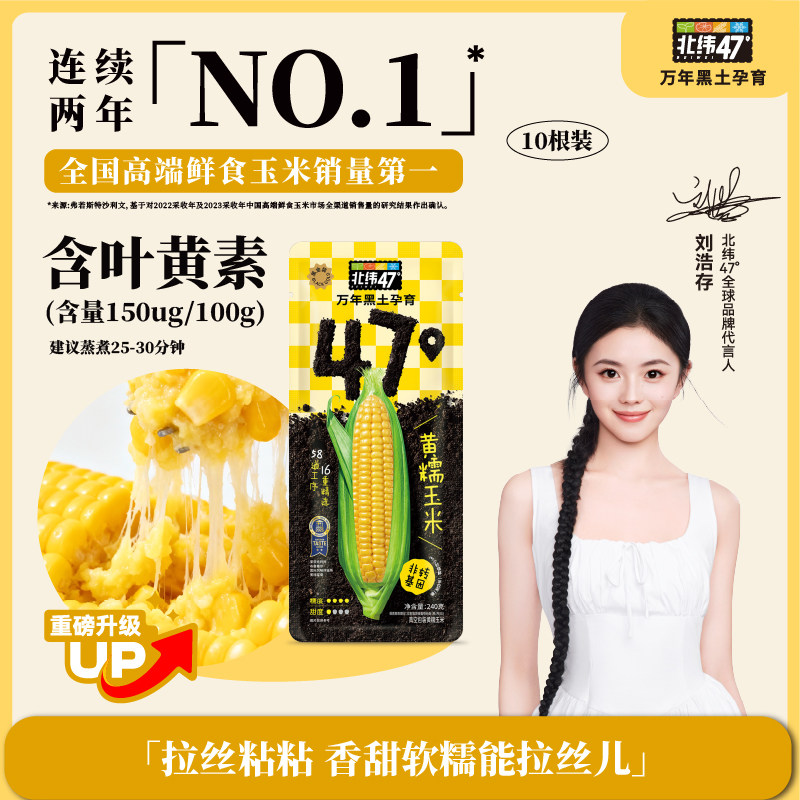 北纬47黑龙江黄糯玉米
