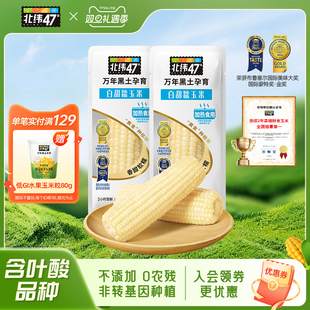 北纬47度新鲜糯玉米4穗