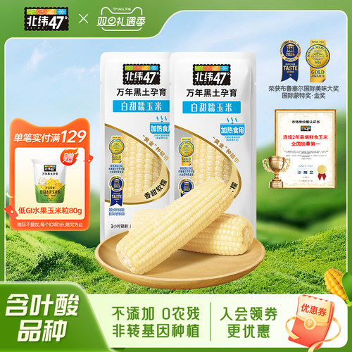 北纬47黑龙江白糯玉米