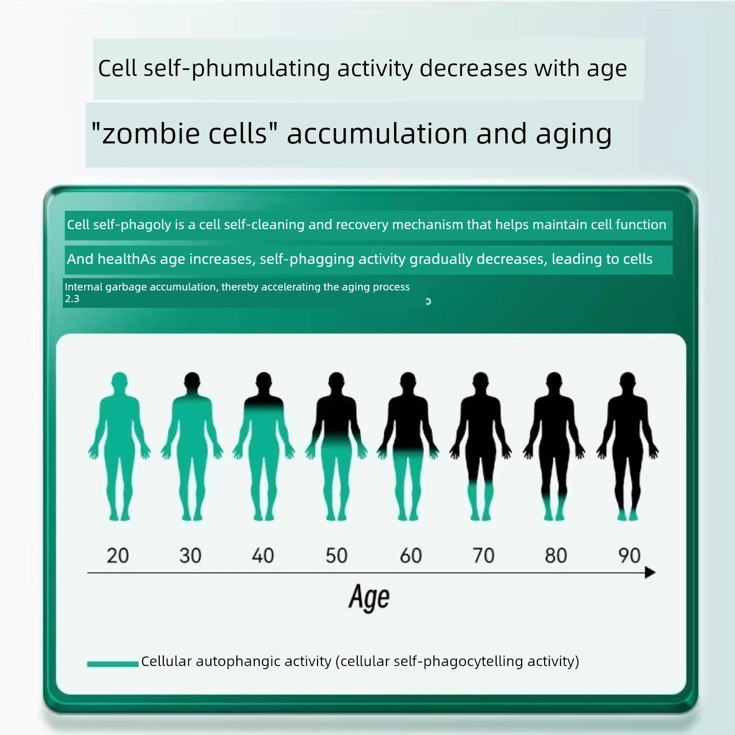 Bioa博奥真同款派络维pro派乐维派洛维麦角硫因倍俞粒pqq细胞修覆