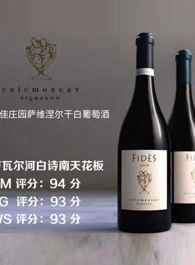 EricMorgat卢瓦尔萨维涅尔初心干白葡萄酒精品酒庄双雄之一VM94分