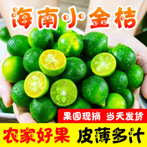 叶老三海南新鲜小金桔皮薄多汁