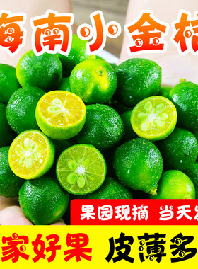 海南小金桔新鲜青柠檬青柑皮薄应当季奶茶店水果柠檬新鲜5斤金橘2