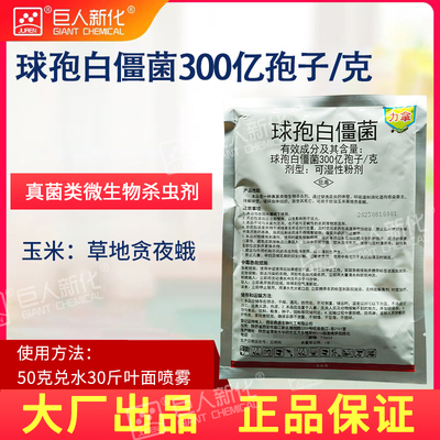 球孢白僵菌300亿孢子/克微生物菌剂可湿性粉剂
