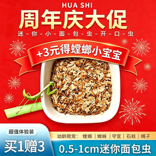开口小面包黄粉虫活体螳螂蝎子