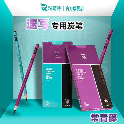 常青藤速写炭笔线面线性瑞萌特