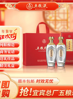 五粮股份五粮精酿天禄献瑞52度500ml*2瓶浓香型白酒礼盒送礼袋