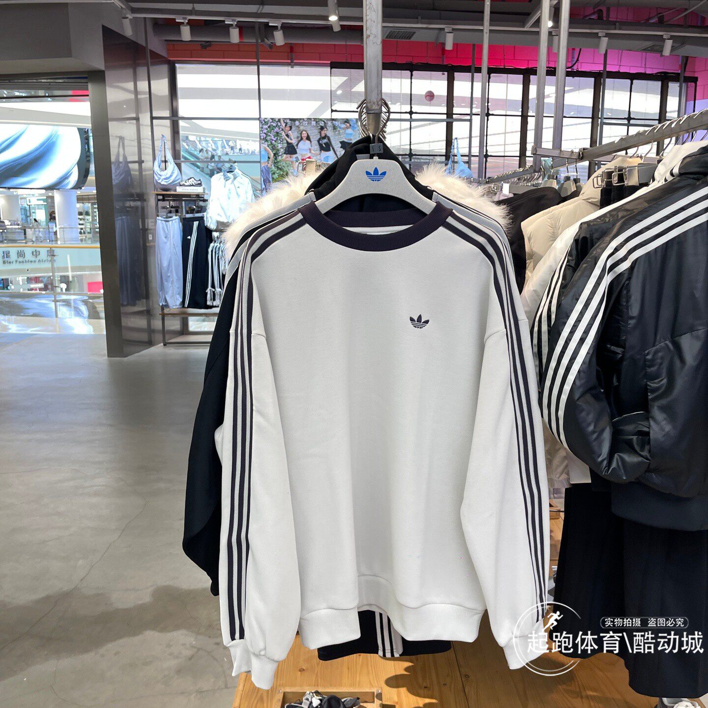 阿迪三叶草男经典圆领套头卫衣