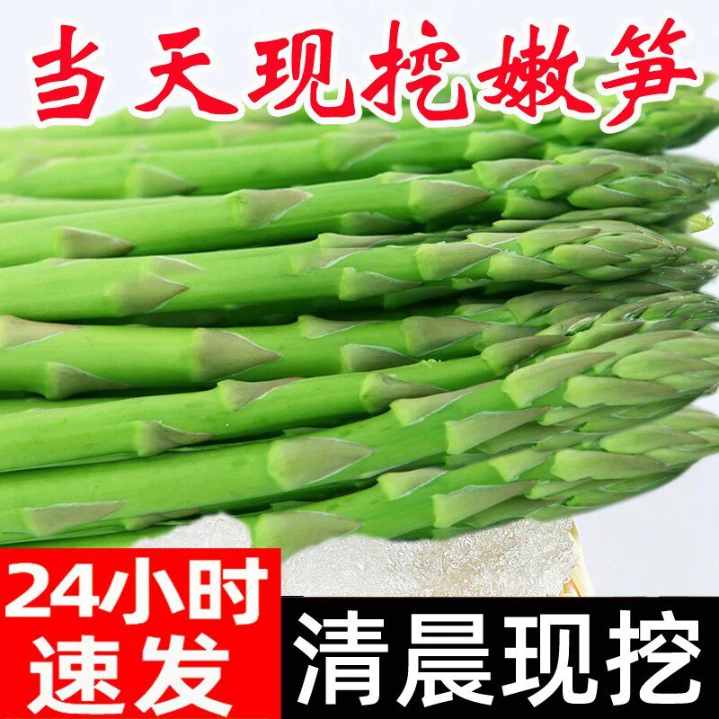 头茬芦笋新鲜特级产地直销现挖5斤嫩青笋尖绿鲜芦笋嫩龙须菜蔬菜