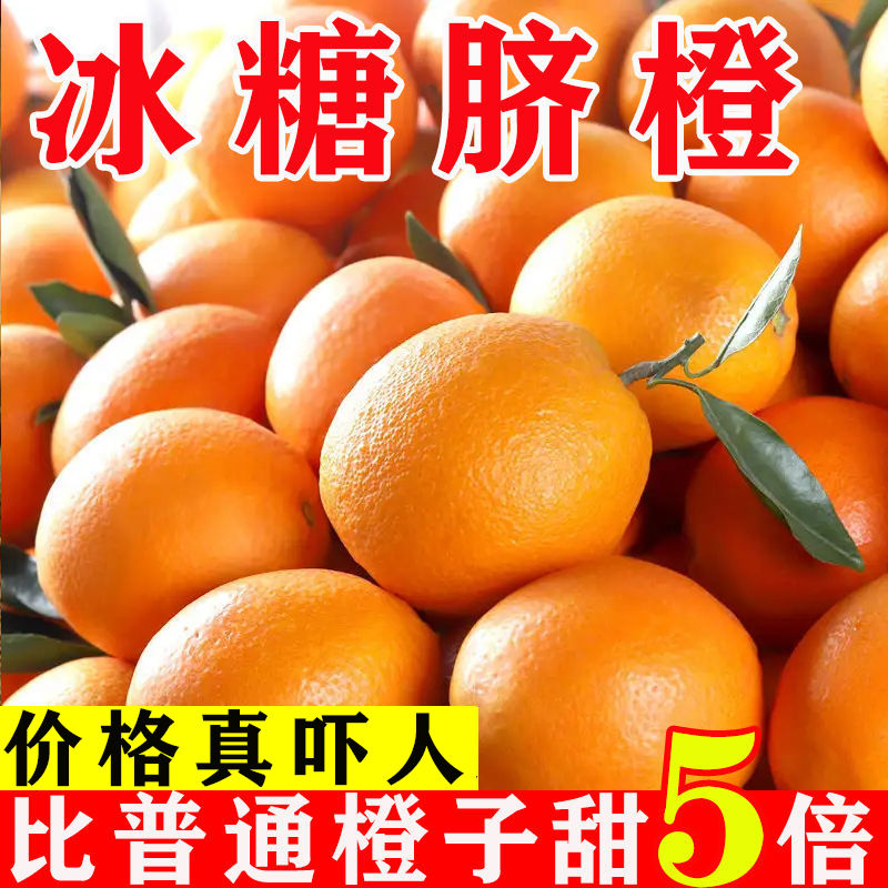 脐橙新鲜橙子现摘水果手剥冰糖甜橙果冻橙超大果的脐橙整箱9斤发3