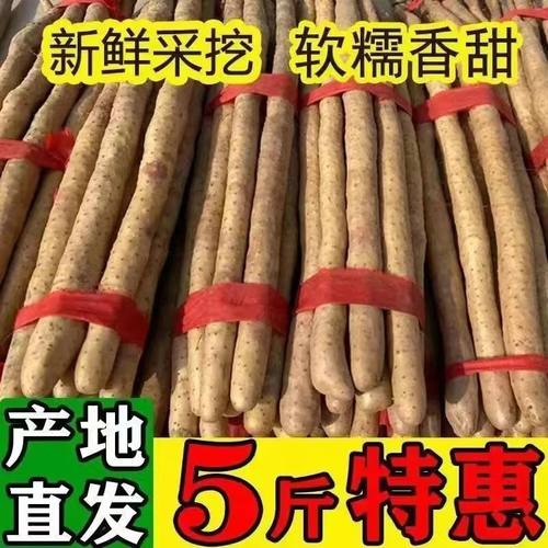 铁棍山药铁杆河南焦作温县垆土淮山怀山药新鲜5斤特产整箱准整箱