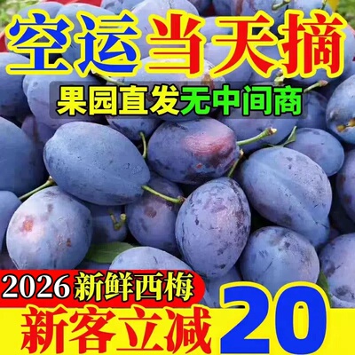 正宗新鲜西梅5斤法兰西当季新疆水果整箱大果孕妇特产甜李子鲜果2