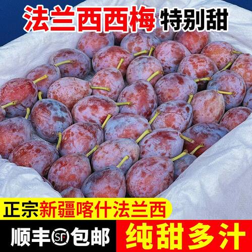 正宗新鲜西梅5斤法兰西当季新疆水果整箱大果孕妇特产甜李子鲜果2