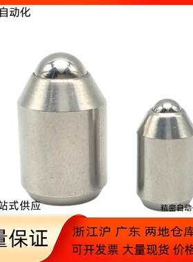 BSZP5 6 8 10 12 不锈钢重载型光身型球头柱塞 无牙定位珠ZAL35