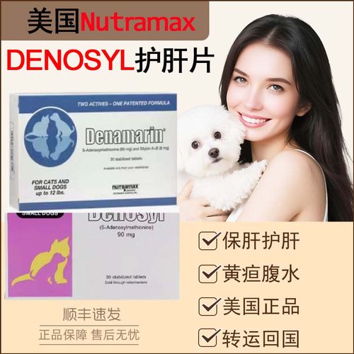 美国直采正品丹诺仕士护肝片