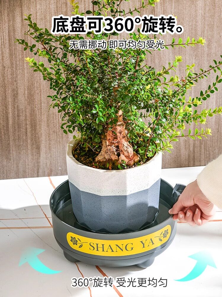 花盆底座旋转塑料圆形接水盘垫底花盘托架多肉植物增高储水底托盘