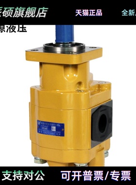 合肥长源液压齿轮油泵CBGTC2080-BLH 合肥长源液压股份有限公司