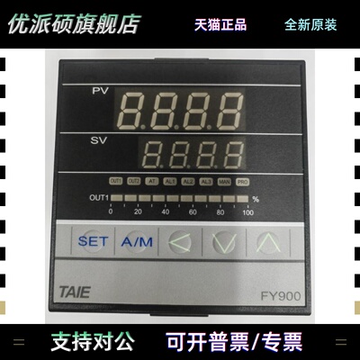 FY900-301000-PT100-AN FY900-102/202-302000 FY900-301/201/101