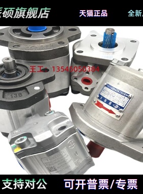 SALAMI萨拉米齿轮泵2PE16D-R52S2 1.5PE 2.5PE 3PE 1PE2.7S-G06B0