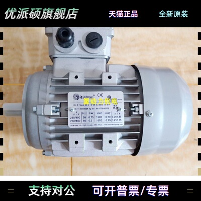 意大利DRDRIVES电机 DRDRIVES刹车电机TS56B4B5/B3/B14/0.09KW