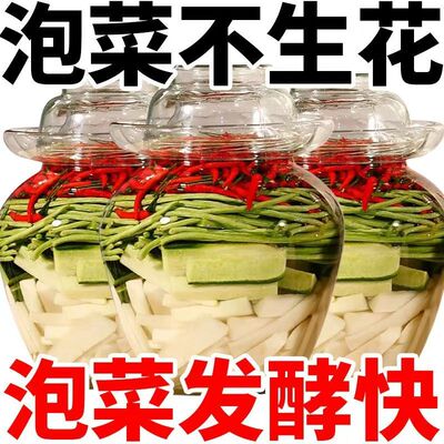 【央妈推荐】不生花泡菜发酵菌粉