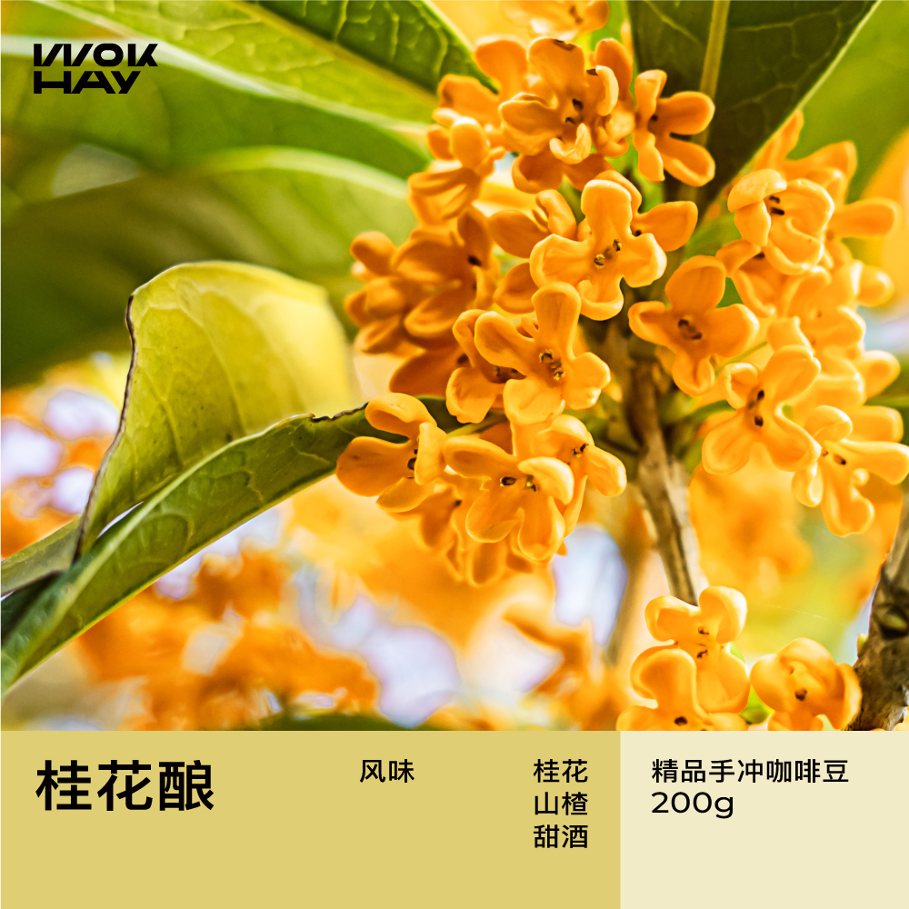 WokHay桂花酿-中浅烘-桂花山楂甜酒风味精选手冲拼配咖啡豆200g-封面