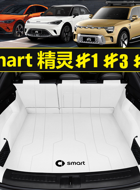 26款smart精灵一号/三号/五号后备箱垫全包围精灵#1#3专用尾箱垫