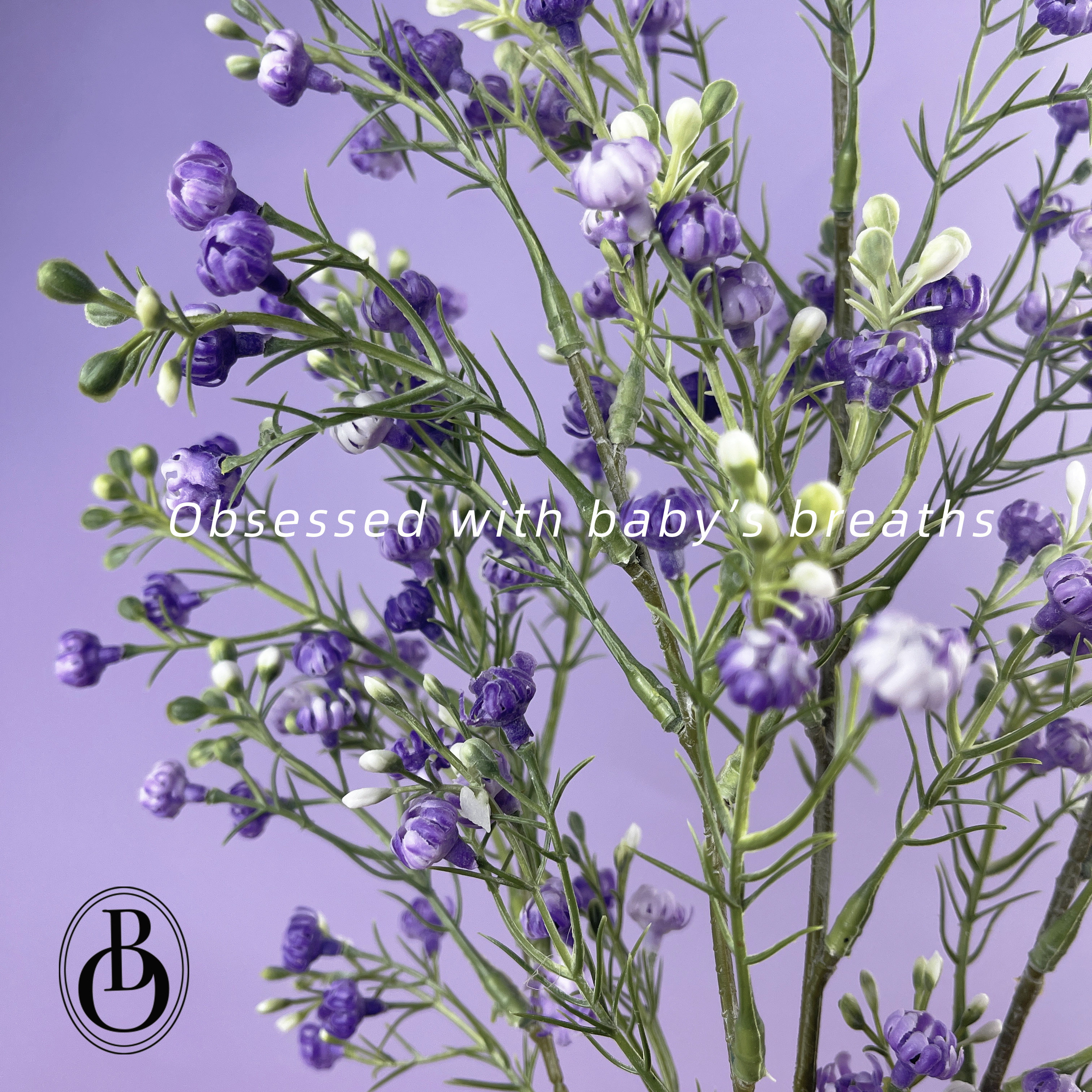 晚安，这句拜托星星一定送你丁香