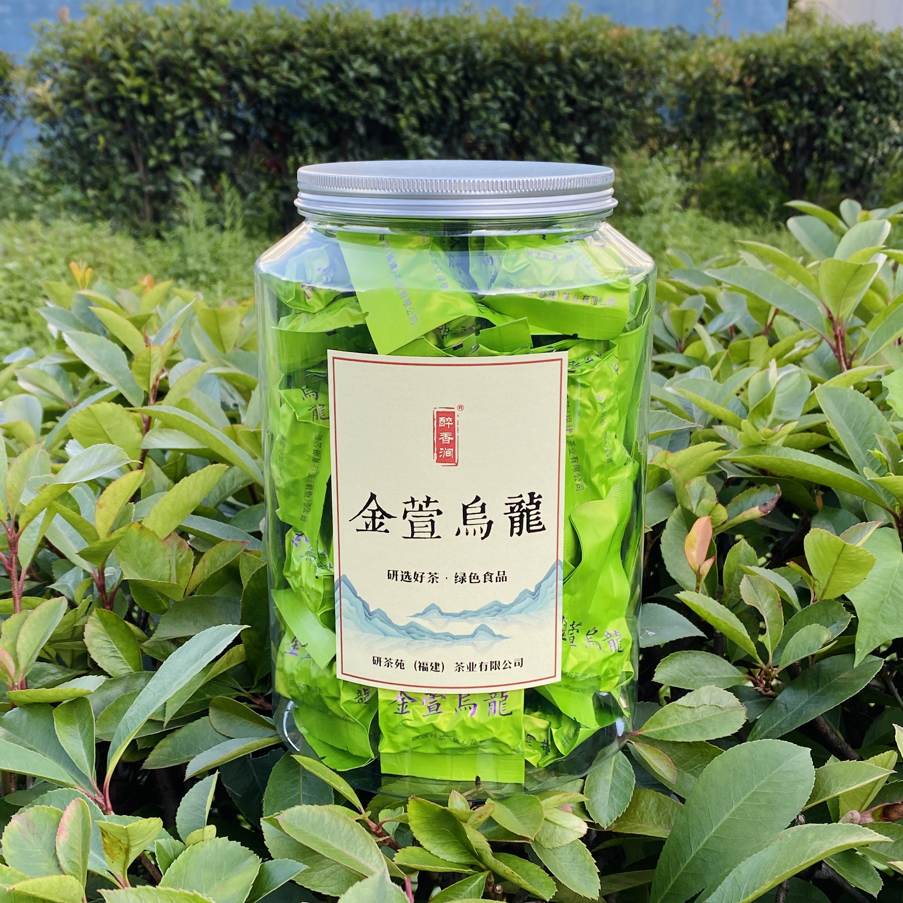 台湾阿里山金萱奶香乌龙茶特级浓香型正宗台式高山茶冷泡茶研茶苑