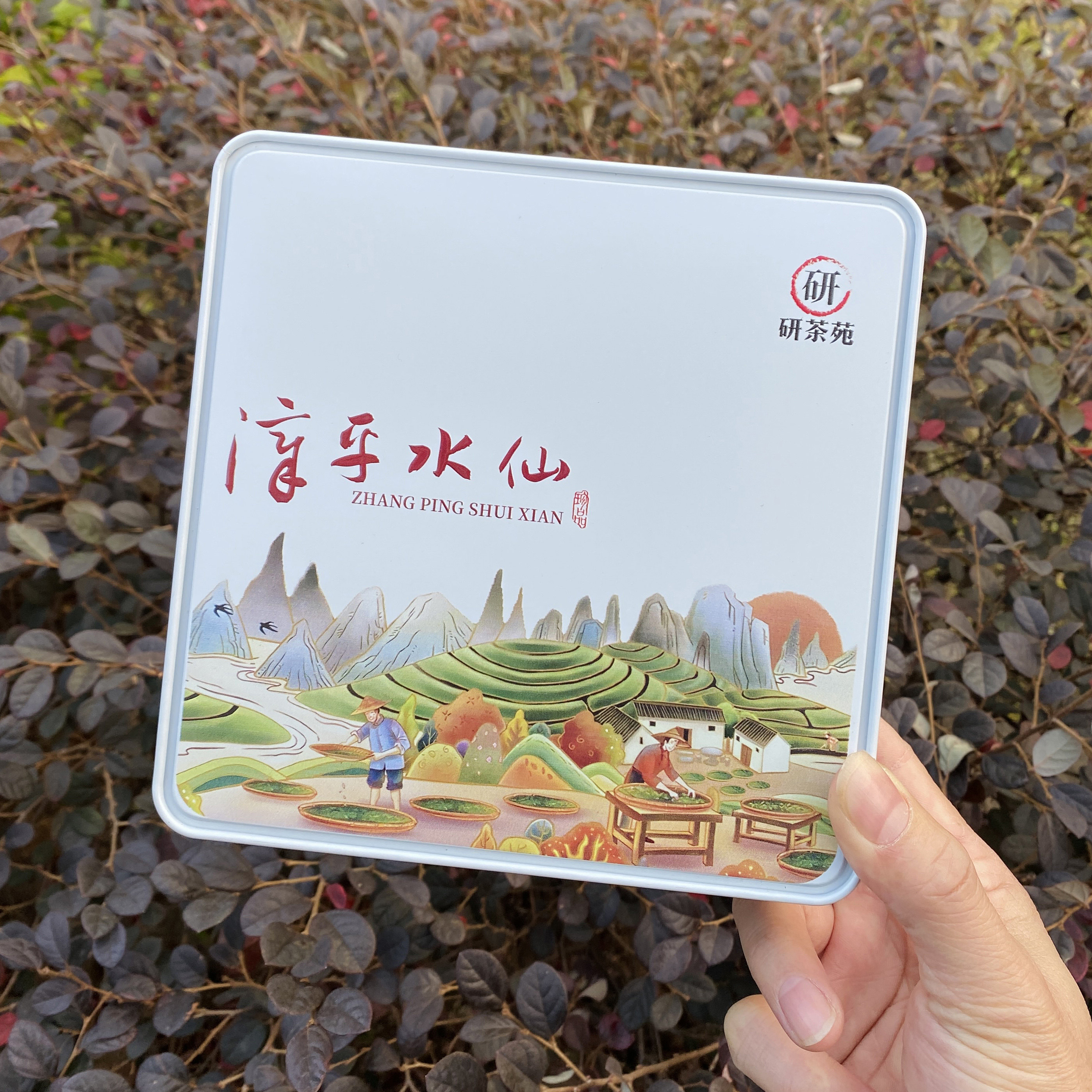 【古法水仙】兰香蜜韵 花果奶香 甘醇滑口 传统浓香漳平水仙120克