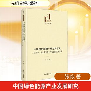 实证分析 民众和宏观三个层面 张焱 著 社 中国绿色能源产业发展研究 光明日报出版 基于企业