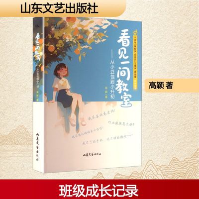 看见一间教室 高颖 著 著 山东文艺出版社
