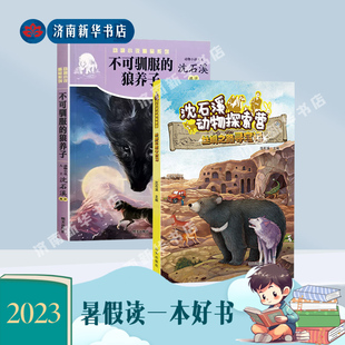 不可驯服的狼养子+丝绸之路寻宝记 全2册 动物小说精品系列 沈石溪动物探索营 2023暑假读书活动(高年级)