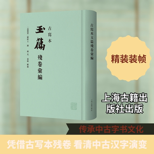 古写本玉篇残卷汇编 (南朝梁) 顾野王, 撰;苏芃, 汇辑 著 上海古籍出版社
