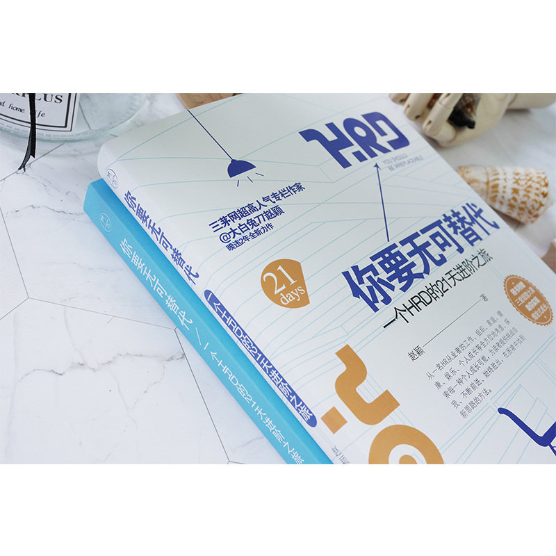你要无可替代 一个人HRD的21天进阶之旅 赵颖 著 北京时代华文书局