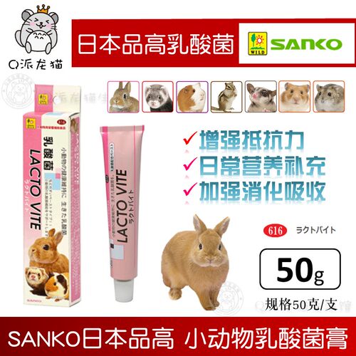乳酸菌兔子豚鼠龙猫益生菌