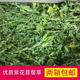 苜蓿烘干紫花苜蓿草毛重1公斤兔兔龙猫豚鼠垂耳兔荷兰猪牧草