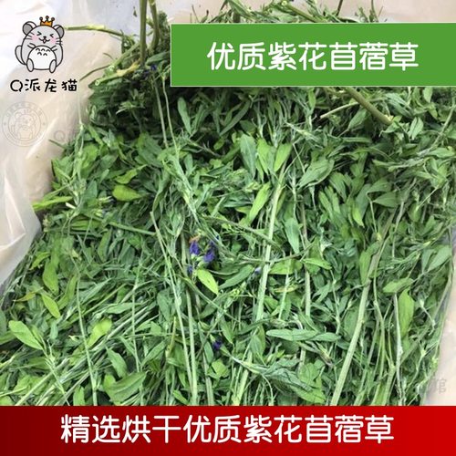 新草 烘干紫花苜蓿草 毛重1kg箱装兔子豚鼠龙猫牧草苜蓿干草