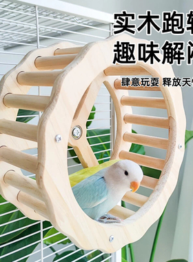 鹦鹉跑轮虎皮玩具解闷旋转转轮鸟用跑步机玄凤牡丹磨爪秋千爬梯